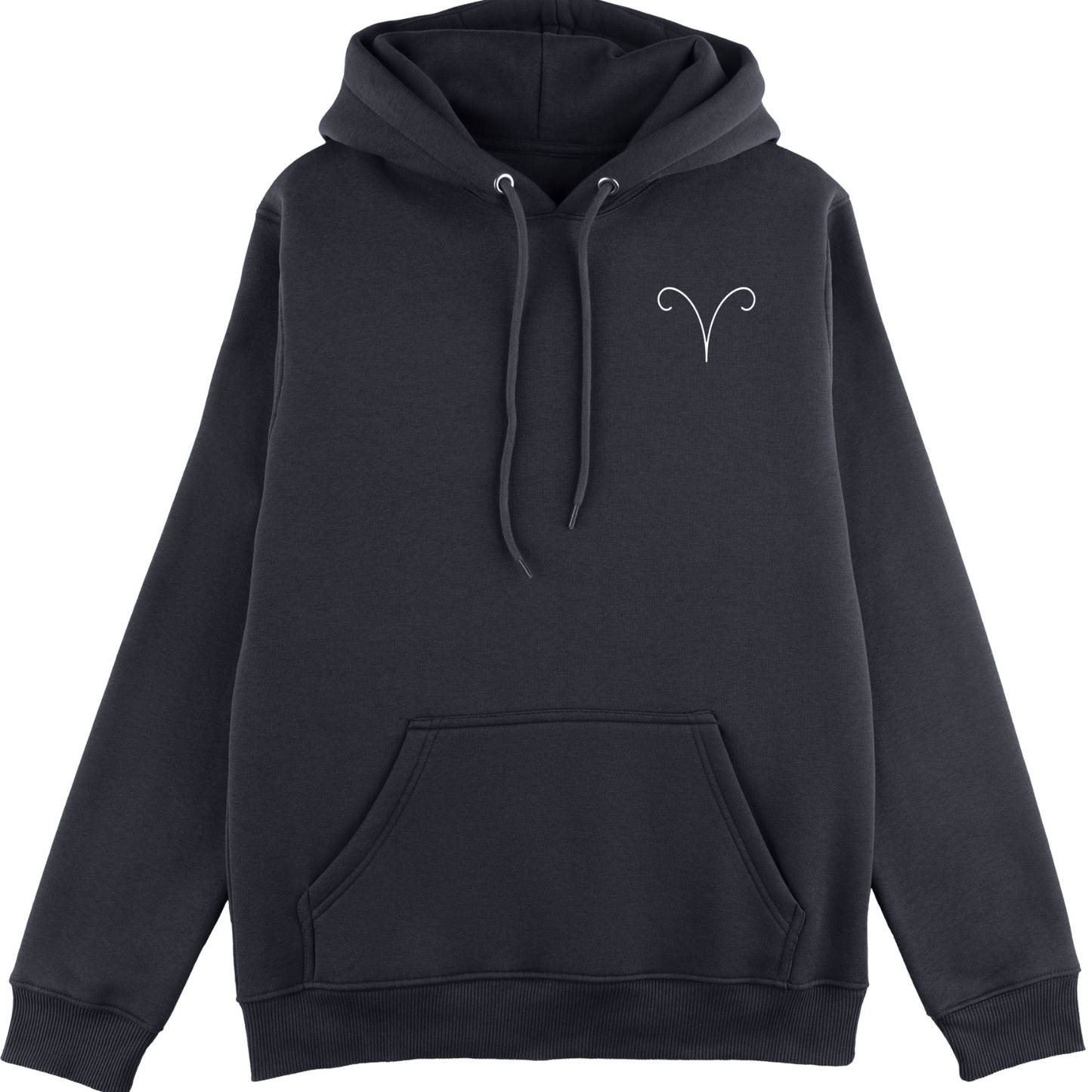 ARIES HOODIE